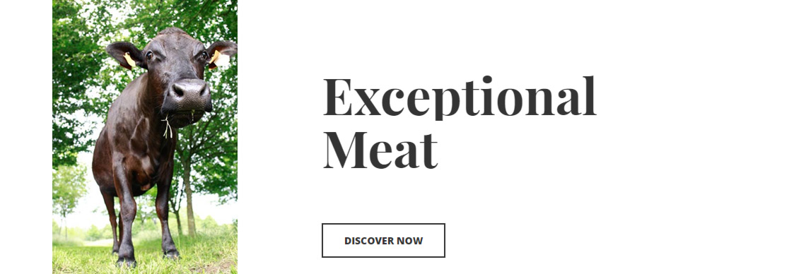 Exceptional meat