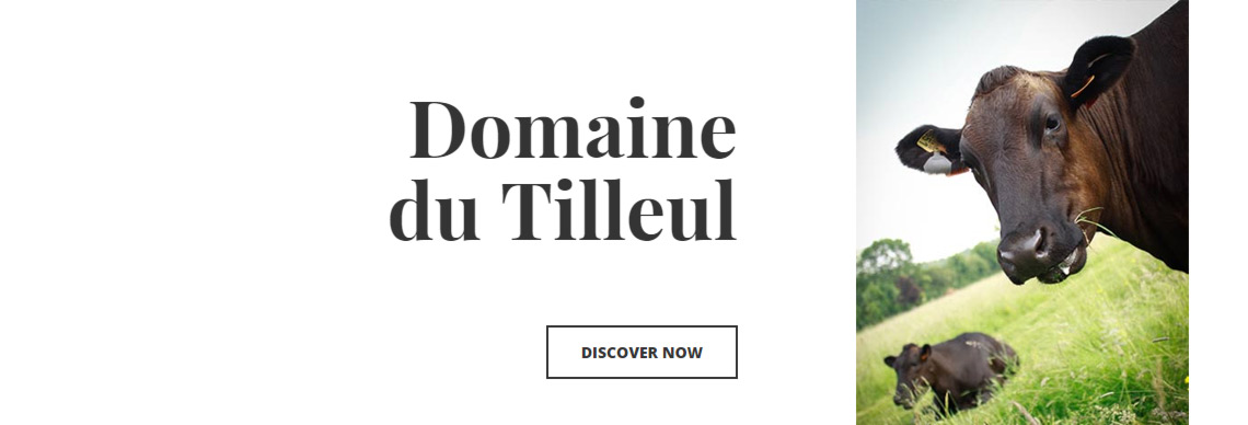 Domaine du Tilleul